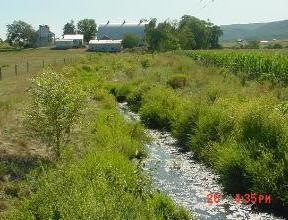Natural Stream Restoration